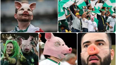 الخنازير في مواجهة الأهلي: قصة إهانة لبنانية تحولت إلى لقب فخري بفضل جمهور بالميراس (صور)